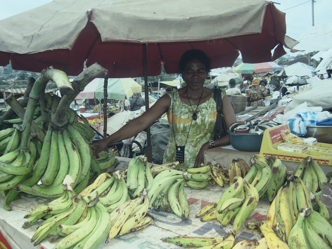 Setting up financial education training for UNACOOPEC cooperatives