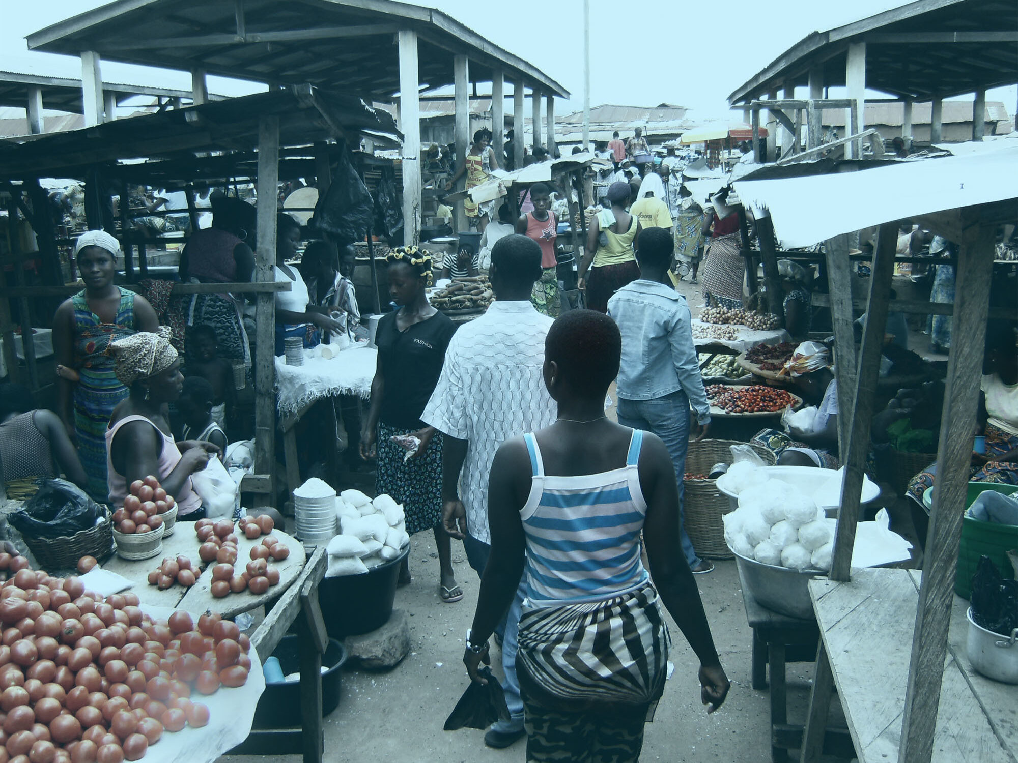 Digitalization of the néré value chain