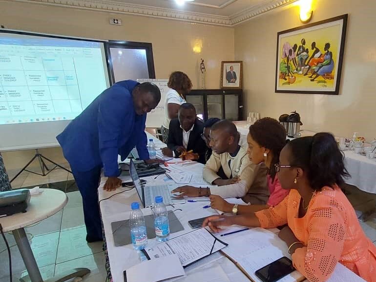 Support to the DRCQ of Cameroon: support to the planning and budgeting of the implementation of the mango file for the 2022 season