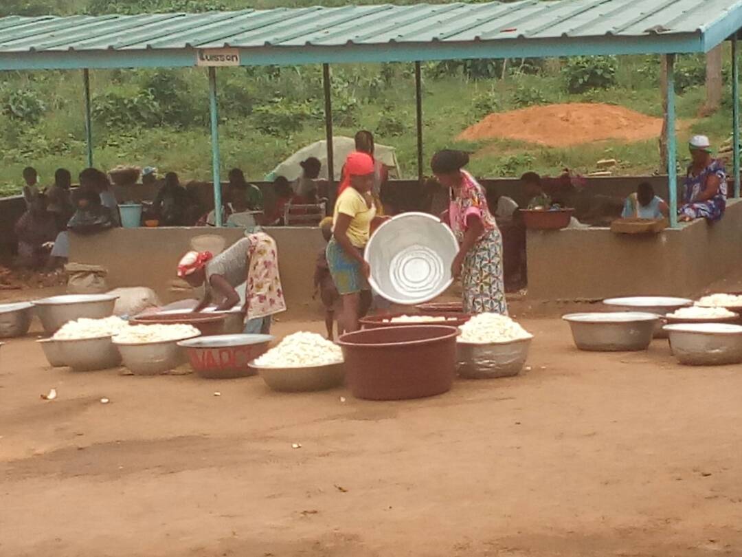 Support to market access for small agricultural producers in the Far North region of Cameroon 